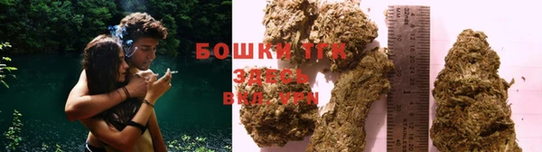 тгк Вяземский