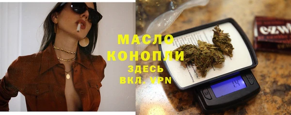 соль ск Кулебаки