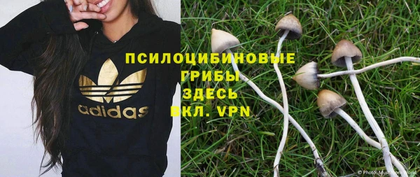 тгк Вяземский